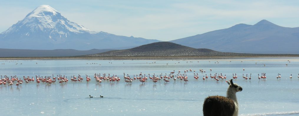 Psychosomatik Statt Medizinmechanik Praxis Fur Ganzheitliche Zahnmedizin